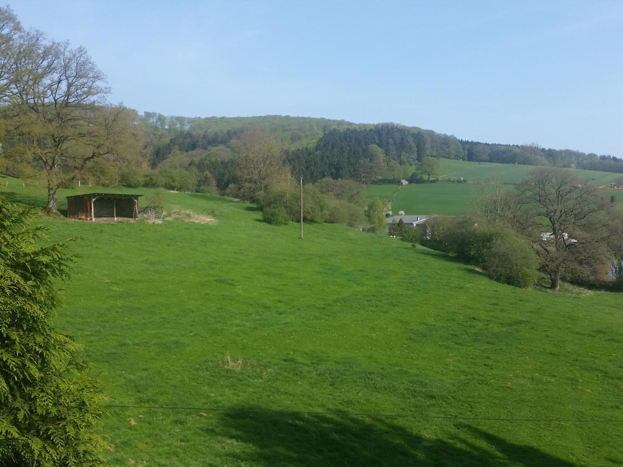 Am Wald Appartement